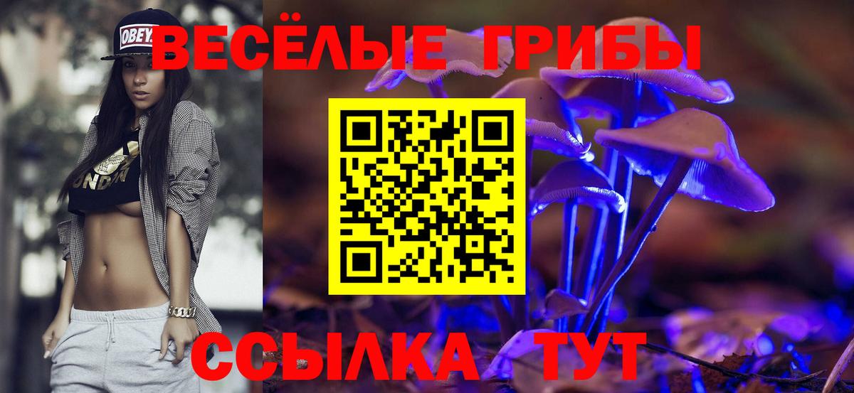Галлюциногенные грибы Psilocybe Звенигород