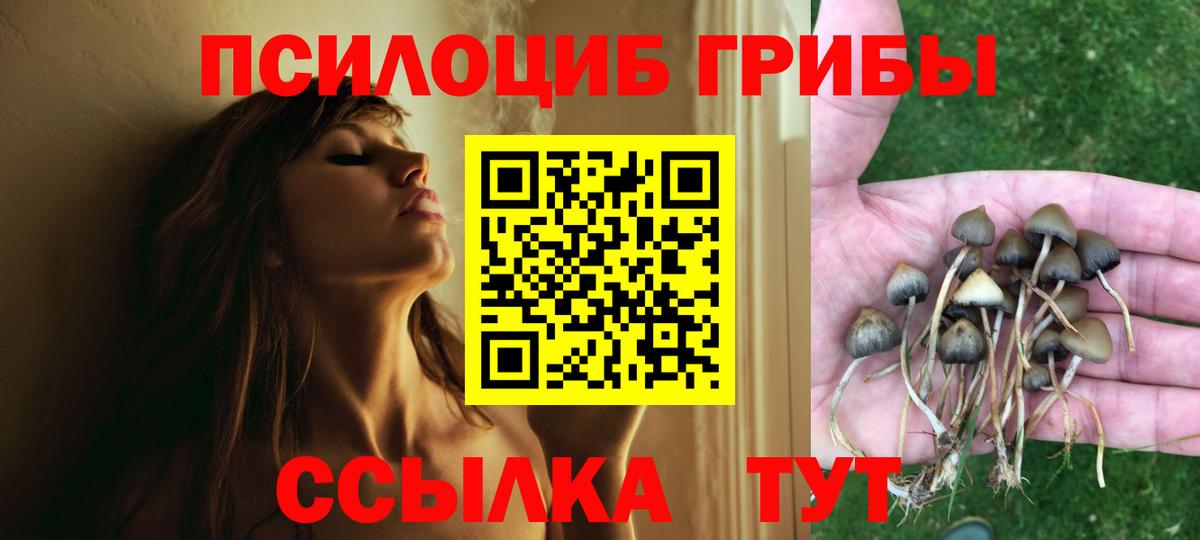 Псилоцибиновые грибы прущие грибы  Вход с VPN  Звенигород  Галлюциногенные грибы GOLDEN TEACHER 